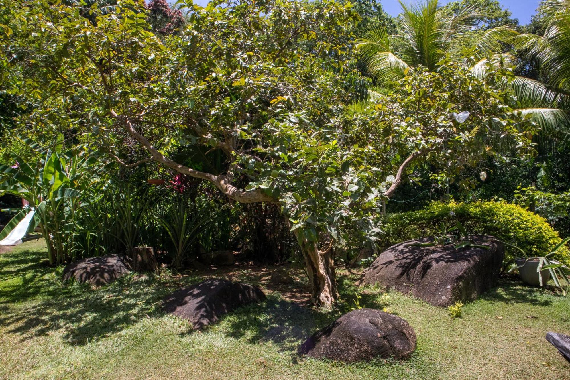 Domaine Desaubin Luxury Villas Takamaka Buitenkant foto